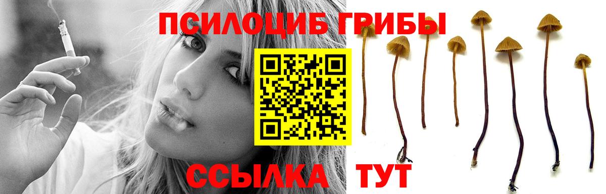 Галлюциногенные грибы мухоморы Ханты-Мансийск